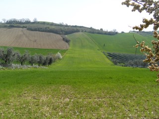 Terreno agricolo in Vendita a Acquaviva Picena, 45'000€, 15000 m²