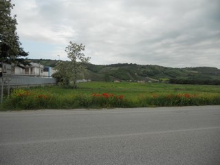 Terreno edificabile in Vendita a Controguerra, 390'000&euro;, 12000 m²