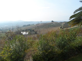 Terreno agricolo in Vendita a Monteprandone, 90'000€, 5000 m²