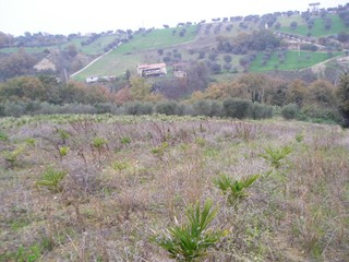 Casa Indipendente in Vendita a Grottammare, 400'000€, 340 m²