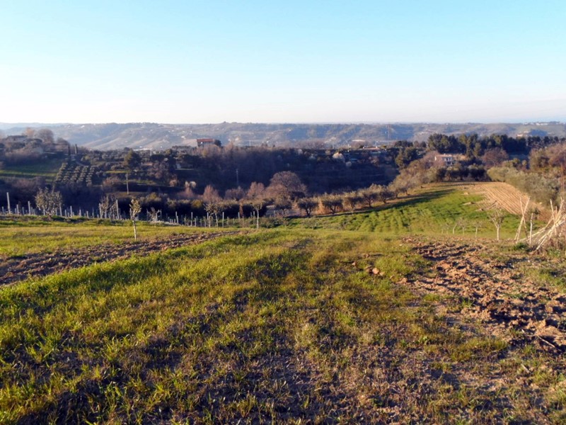 Terreno agricolo in Vendita a San Benedetto del Tronto, 120'000€, 5000 m²