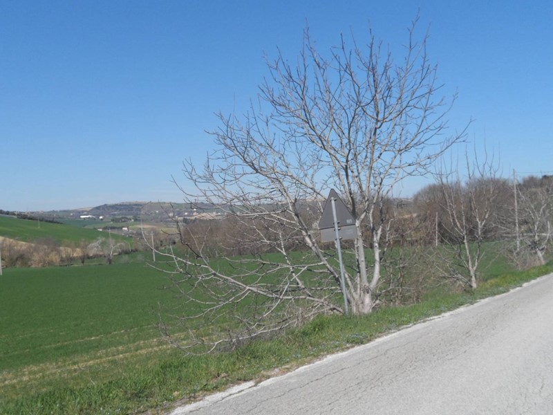 Terreno agricolo in Vendita a Fermo, 350'000€, 118185 m²