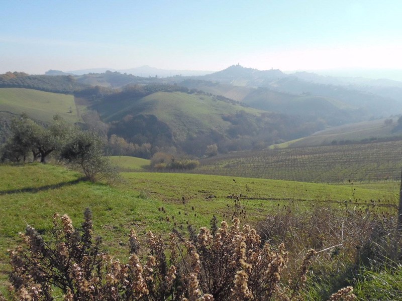 Terreno agricolo in Vendita a Monsampolo del Tronto, 110'000€, 63000 m²