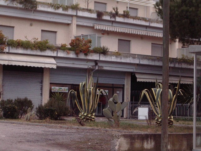 Immobile commerciale in Vendita a Martinsicuro, 80'000€, 110 m²