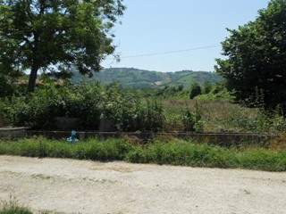 Terreno agricolo in Vendita a Spinetoli, 50'000€, 8210 m²