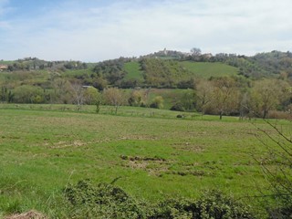 Terreno agricolo in Vendita a Montefiore dell'Aso, 15'000€, 1220 m²