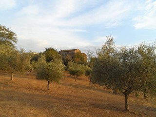 Terreno agricolo in Vendita a Castorano, 200'000€, 62650 m²