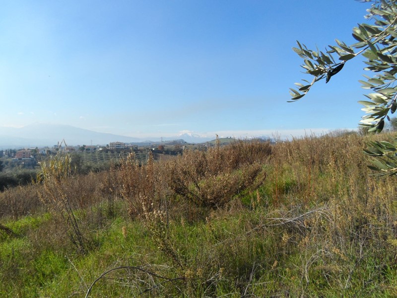 Terreno edificabile in Vendita a Monteprandone, 100'000€, 600 m²