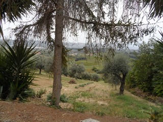 Terreno agricolo in Vendita a Monteprandone, 150'000€, 21250 m²