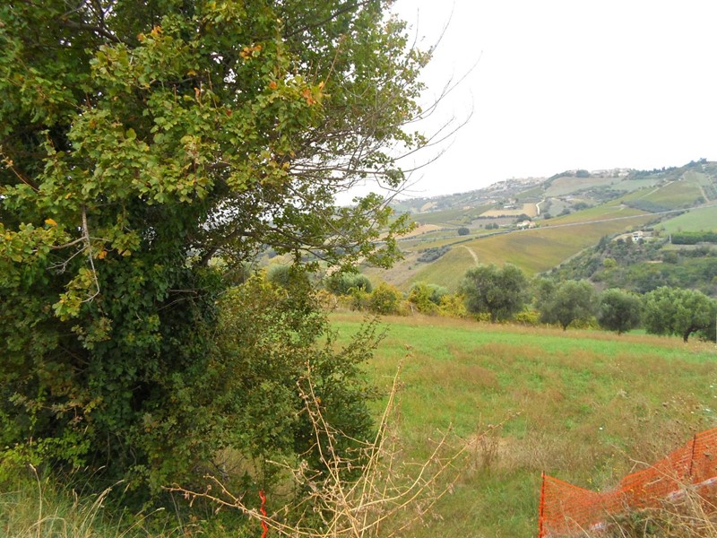 Terreno agricolo in Vendita a Monteprandone, 120'000€, 42260 m²