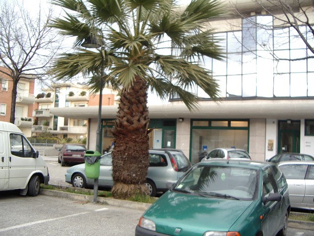 Immobile commerciale in Vendita a San Benedetto del Tronto, 80'000€, 50 m²