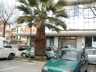 Immobile commerciale in Vendita a San Benedetto del Tronto, 80'000€, 50 m²