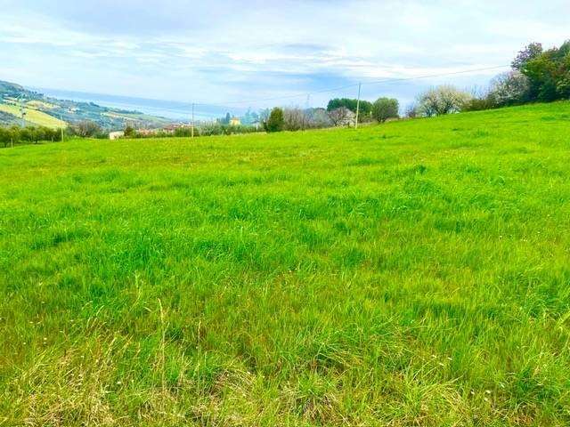 Terreno edificabile in Vendita a Monteprandone, 310'000€, 6500 m²