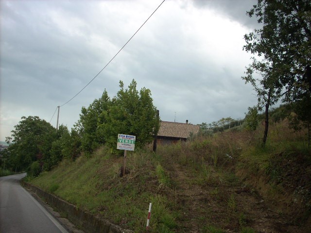 Terreno agricolo in Vendita a Colonnella, 42'000€, 7000 m²