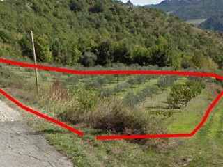 Terreno agricolo in Vendita a San Buono, 41'000€, 54180 m²