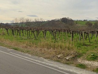 Terreno agricolo in Vendita a Scerni, 43'000€, 11110 m²