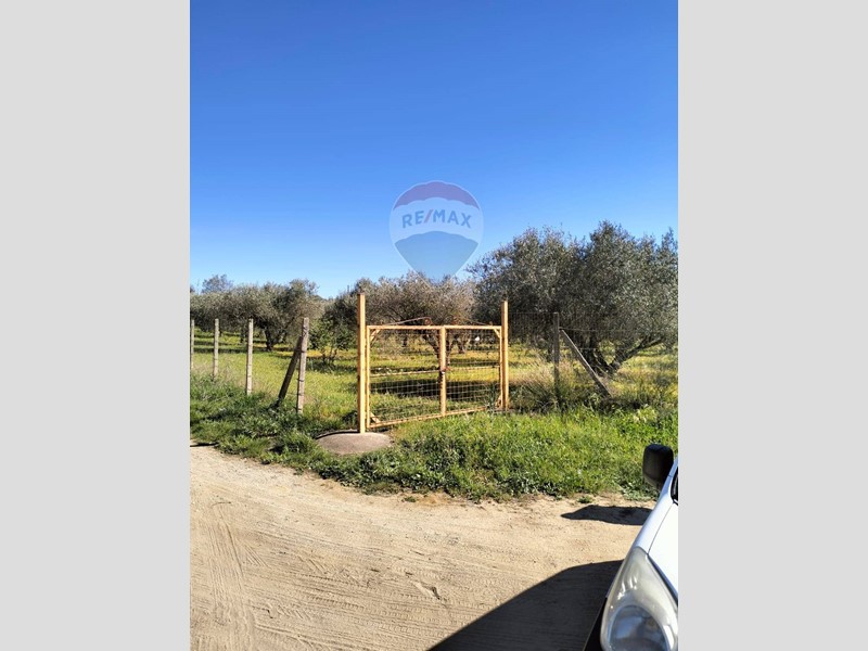 Terreno agricolo in Vendita a Caltagirone, 15'500€, 5030 m²