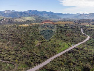 Terreno agricolo in Vendita a Castiglione di Sicilia, 590'000€, 59045 m²