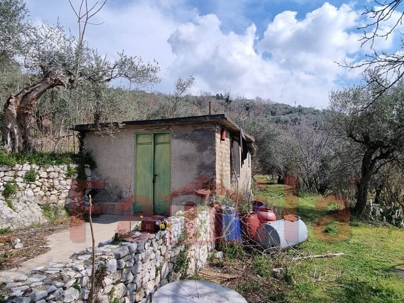 Terreno agricolo in Vendita a Mugnano del Cardinale, 2600 m²