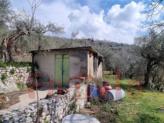 Terreno agricolo in Vendita a Mugnano del Cardinale, 2600 m²