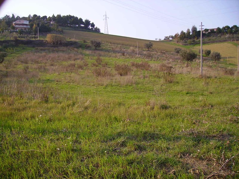 Terreno agricolo in Vendita a Monteprandone, 55'000€, 7873 m²