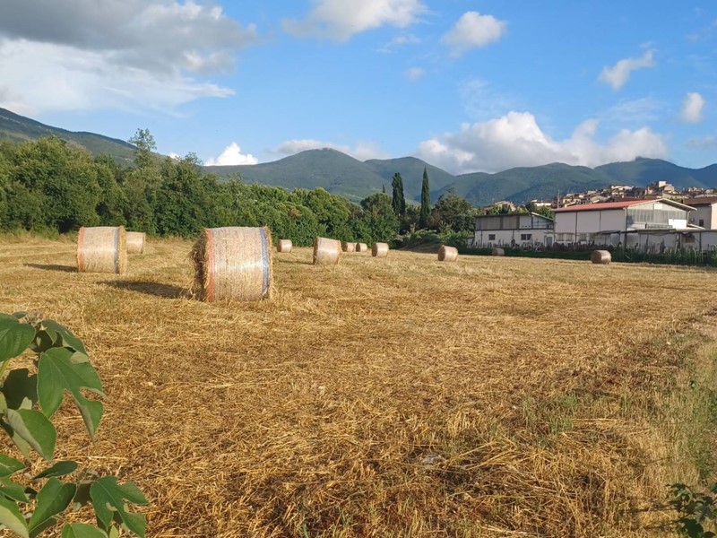 Terreno agricolo in Vendita a Amaseno, 92'000€, 18000 m²