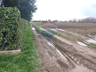 Terreno agricolo in Vendita a Vittuone, 40'000€, 8570 m²