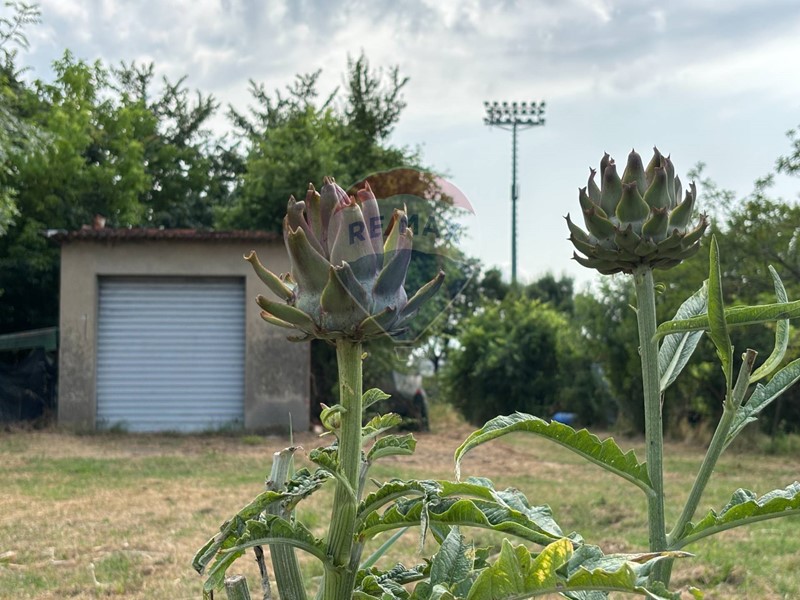 Terreno agricolo in Vendita a Santa Croce sull'Arno, 35'000€, 2050 m²