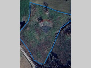 Terreno agricolo in Vendita a Monte San Vito, 75'000&euro;, 34800 m²