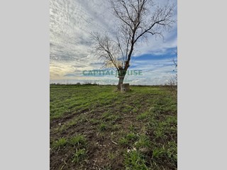 Terreno agricolo in Vendita a Marigliano, 16'000€, 3750 m²