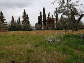 Terreno edificabile in Vendita a Pontedera, 180'000€, 700 m²