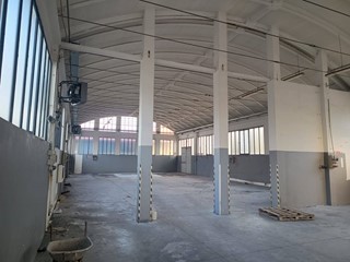 Capannone in Affitto a Pesaro, 1'800€, 500 m²