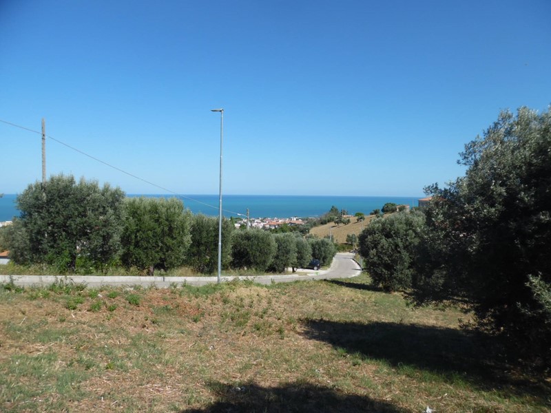 Terreno edificabile in Vendita a Tortoreto, 7000 m²