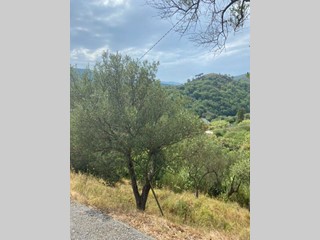 Terreno agricolo in Vendita a Albisola Superiore, 35'000€, 4000 m²