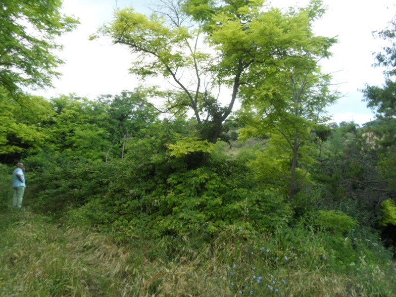 Terreno agricolo in Vendita a San Benedetto del Tronto, 50'000€, 8000 m²