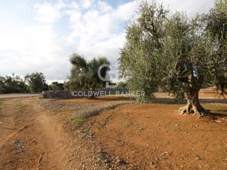 Terreno agricolo in Vendita a San Vito dei Normanni, 70'000€, 26250 m²