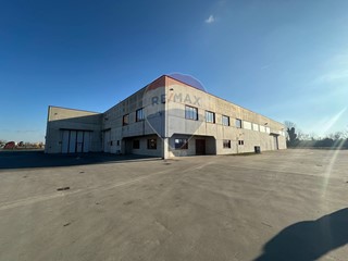 Capannone in Vendita a Martignana di Po, 1'850'000&euro;, 3000 m²