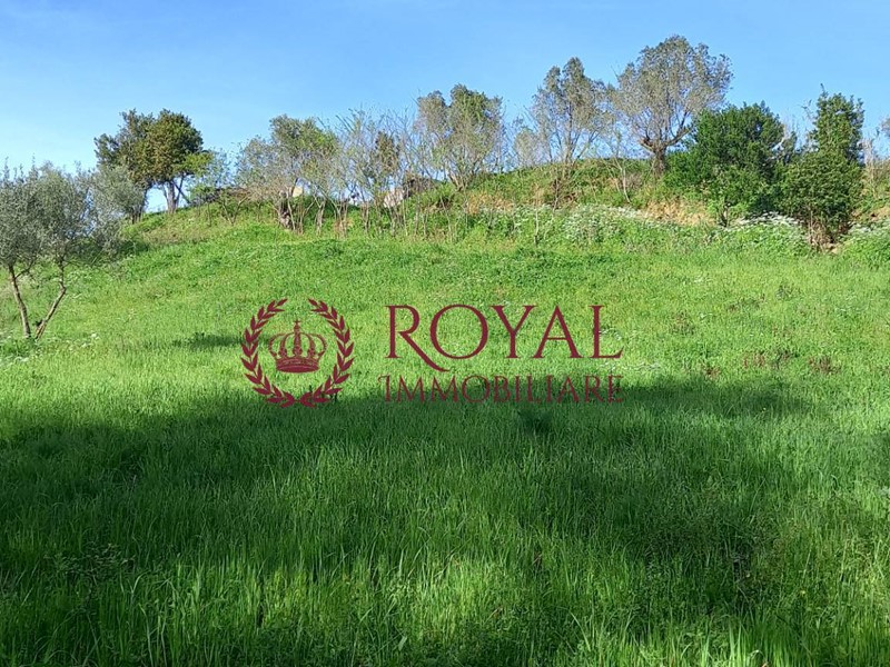 Terreno agricolo in Vendita a Livorno, 45'000&euro;, 3180 m²