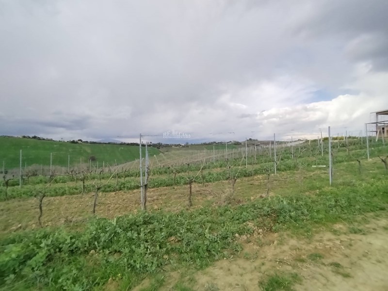 Terreno agricolo in Vendita a Monteprandone, 450'000€, 165000 m²