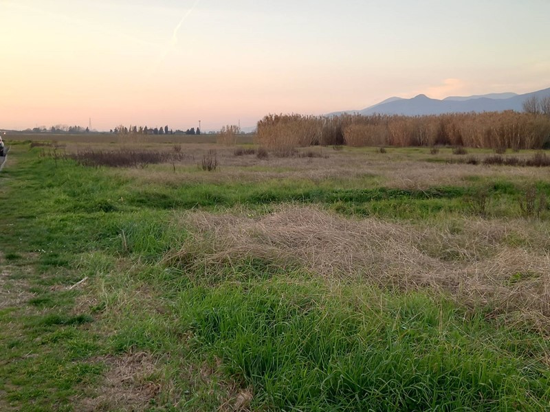 Terreno agricolo in Vendita a Casciana Terme Lari, 202'500€, 4500 m²