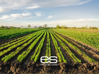 Terreno agricolo in Vendita a Cassago Brianza, 85'000€, 12000 m²