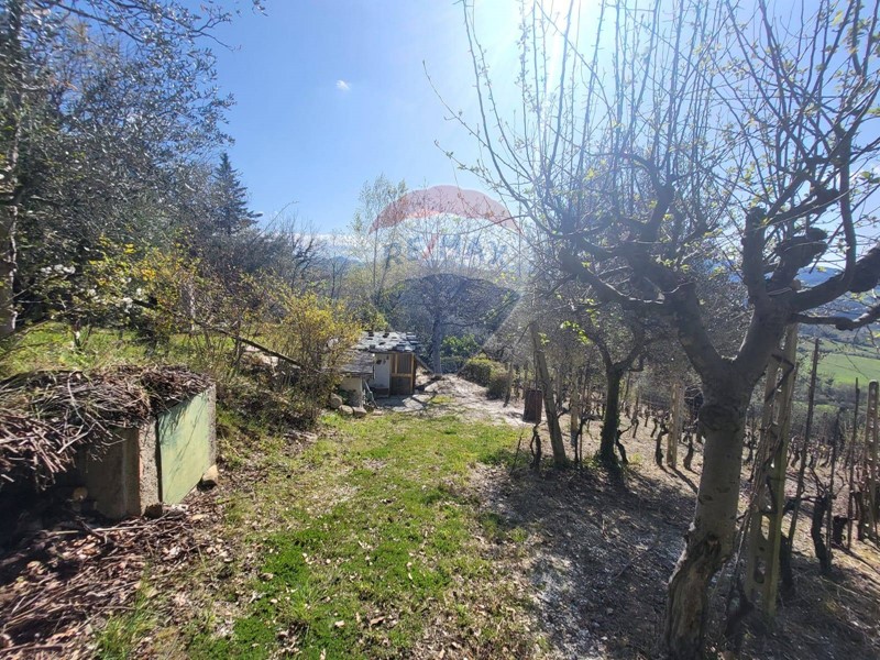 Terreno agricolo in Vendita a Cupramontana, 22'000€, 3562 m²