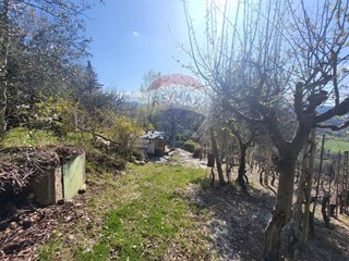 Terreno agricolo in Vendita a Cupramontana, 22'000€, 3562 m²