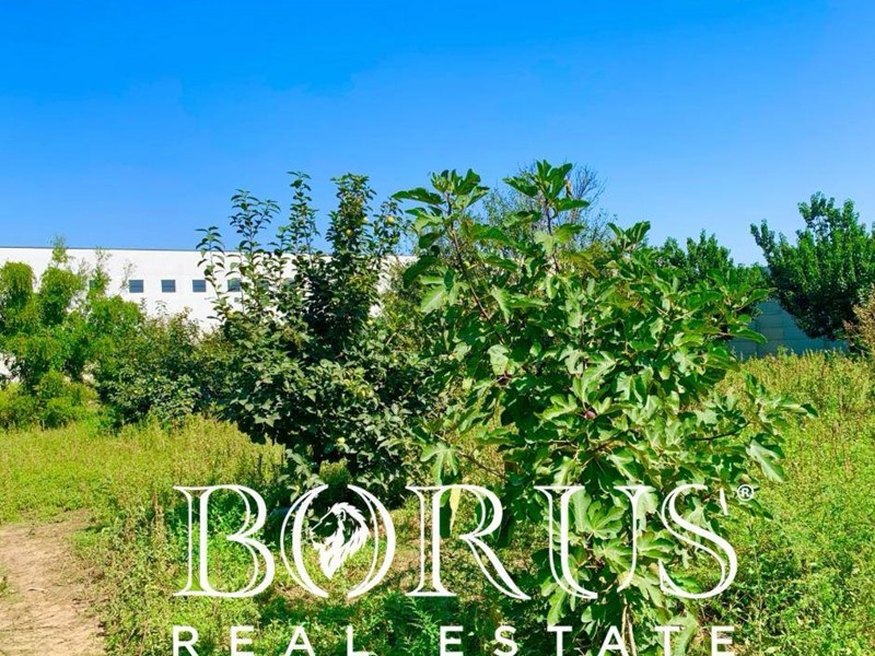 Terreno edificabile in Vendita a Gricignano di Aversa, 430'000€, 4197 m²