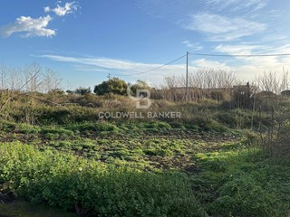 Terreno industriale in Vendita a Santa Venerina, 199'000€, 9000 m²