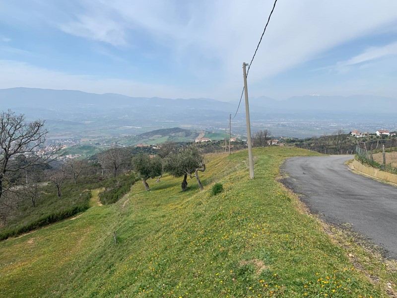 Terreno agricolo in Vendita a Luzzi, 70'000€, 46000 m²