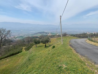 Terreno agricolo in Vendita a Luzzi, 70'000€, 46000 m²