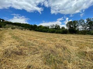 Terreno agricolo in Vendita a Ariano Irpino, 65'000&euro;, 20000 m²