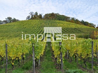 Terreno agricolo in Vendita a Valdobbiadene, 450'000€, 17000 m²