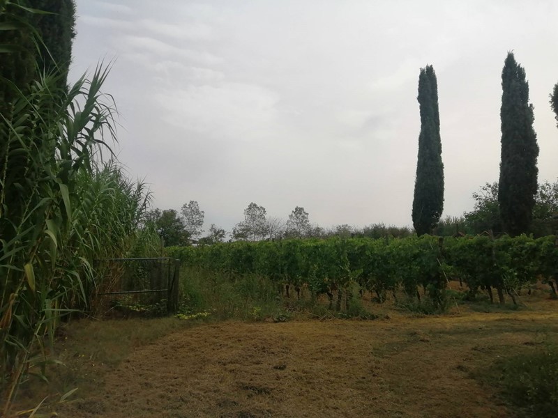 Terreno agricolo in Vendita a Casciana Terme Lari, 90'000€, 30000 m²